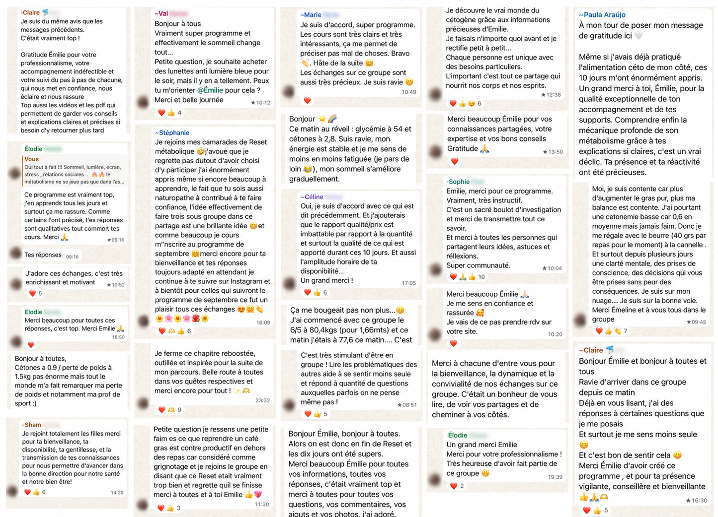 RESET METABOLIQUE (session Juin 2026)